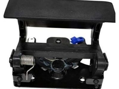 Chevy Silverado 1500 Door Handle - 20955300