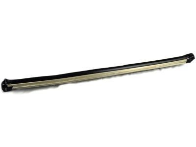 GM 15724145 Side Molding, Driver Side