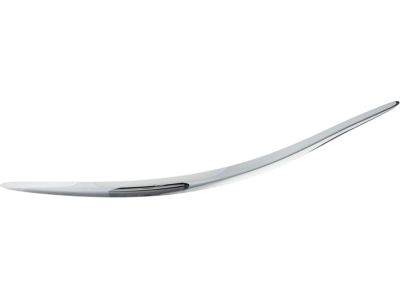 GM 15276881 Molding, Passenger Side