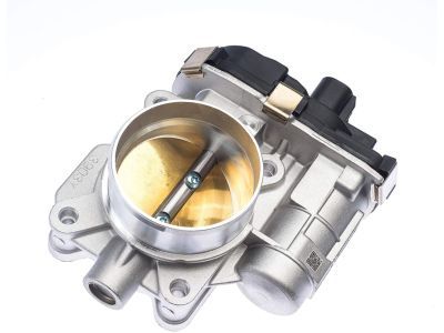 GM 12631186 Throttle Body, Green Line