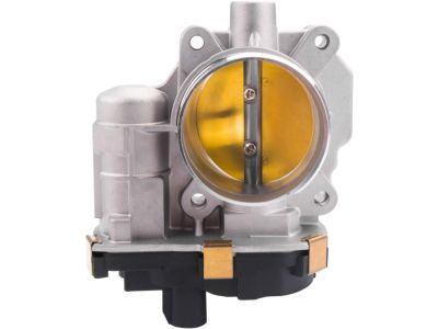 GM 12631186 Throttle Body, Green Line