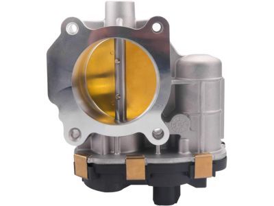 GM 12631186 Throttle Body, Green Line