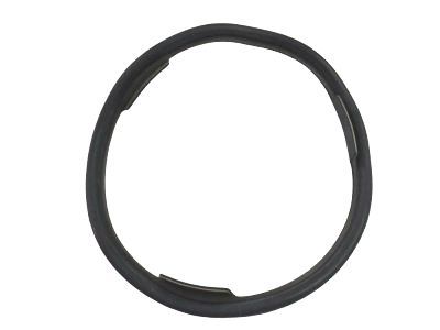GM 22515965 Fuel Pump Seal