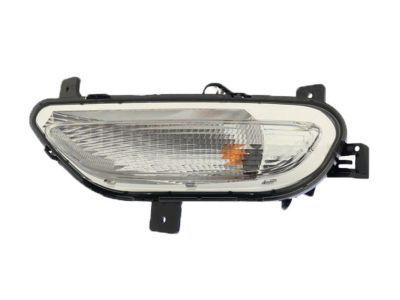 GM 42663533 Signal Lamp Assembly, Front Driver Side