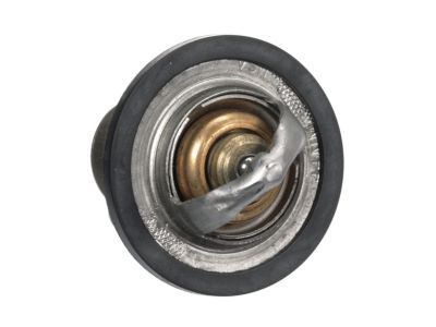 GM 12559575 Thermostat