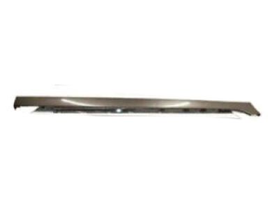 Pontiac 92162072 Rocker Molding