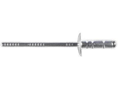 Buick 9132667 Guide Rivet