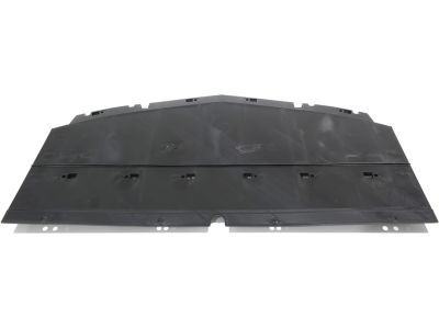 GM 23273619 Front Deflector, Center