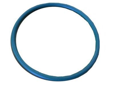 Chevy Fuel Pump Seal - 21008100