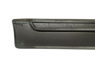 GM 15176396 Body Side Molding, Rear Driver Side