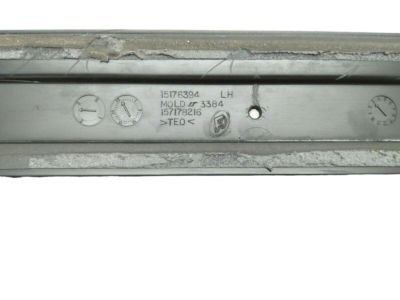 GM 15176396 Body Side Molding, Rear Driver Side