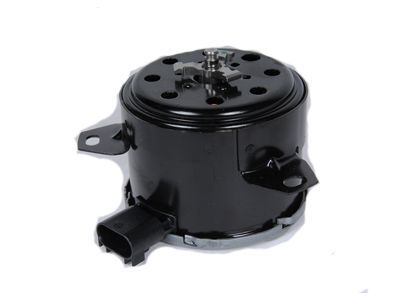 GM 15780795 Fan Motor, Driver Side