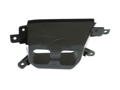 GM 23243484 Hole Cover, Driver Side