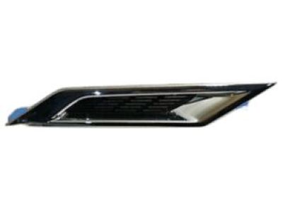 GM 20881029 Grille, Front Driver Side