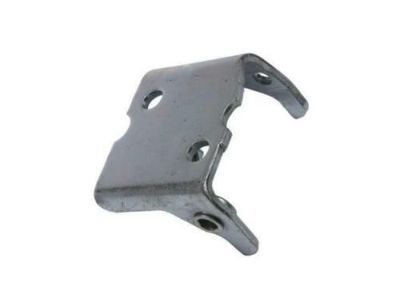 GM 15771318 Hinge, Passenger Side