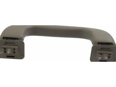 GM 15924263 Grip Handle, Titanium, Rear