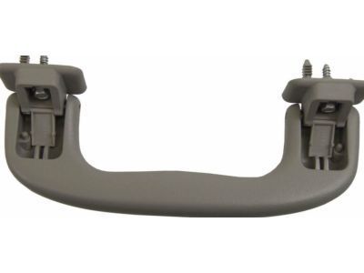 GM 15924263 Grip Handle, Titanium, Rear