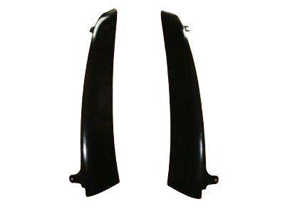 GM 88980675 Side Molding