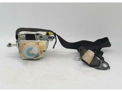 GM 19177322 Lap & Shoulder Belt, Passenger Side