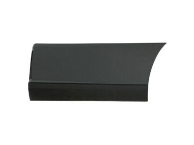 GM 88951961 Lower Molding
