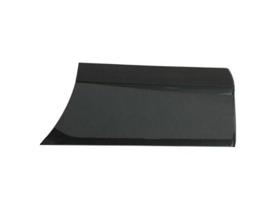 GM 88951961 Lower Molding