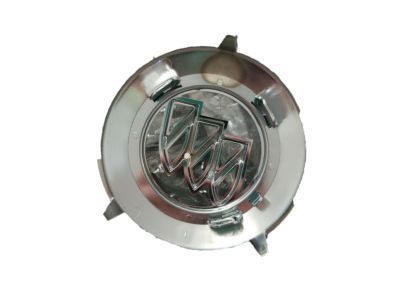 GM 89045663 Emblem