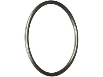 GM 24505057 Gasket Seal