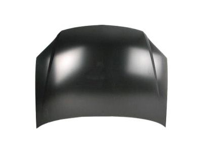 Pontiac 15258957 Hood