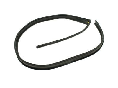 2012 Chevy Silverado 1500 Door Seal - 20816087