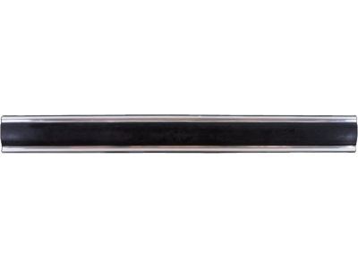 Chevy C20 Door Moldings - 15596935