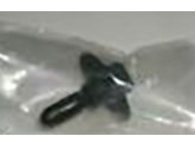 Cadillac 11509645 Lens Screw