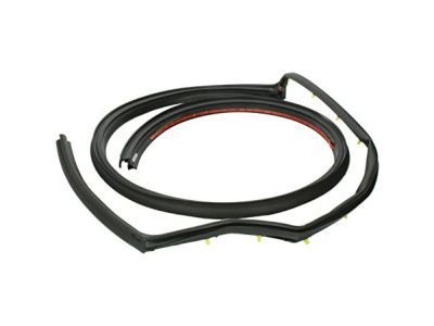 Chevy Express 3500 Weather Strip - 15126640