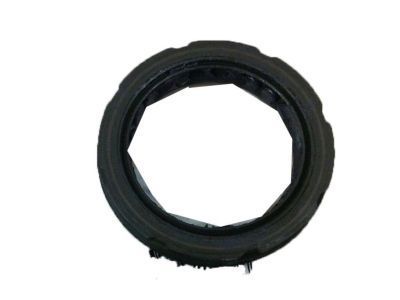 GM 10128316 Oil Seal, Front