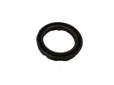 GM 10128316 Oil Seal, Front