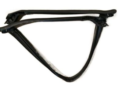 GM 84007386 Weatherstrip, Rear