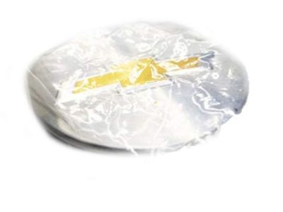Chevy Equinox Wheel Cover - 20997899