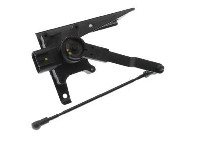 GM 89047637 Level Sensor
