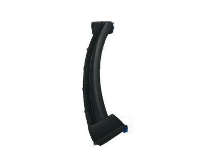GM 10273003 Weatherstrip, Front Driver Side