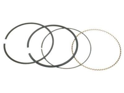 Chevy Trailblazer EXT Piston Ring - 89060378
