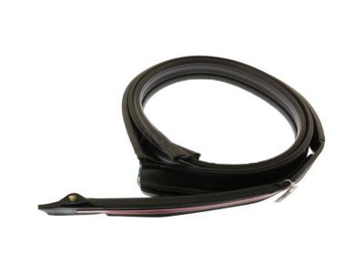 Chevy Avalanche Weather Strip - 20789464