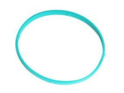 Cadillac Throttle Body Gasket - 12576549
