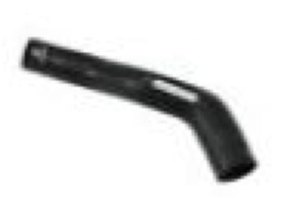 GM 30027979 Upper Hose