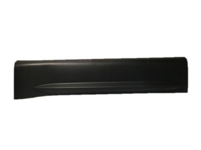 GMC Door Moldings - 25824835