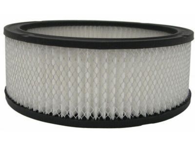 Cadillac Air Filter - 6419892