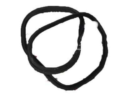 Chevy Weather Strip - 84160282