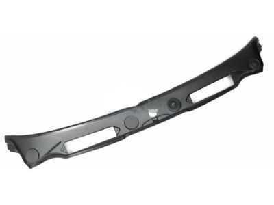 GM 25905502 Cowl Grille, Black, Center