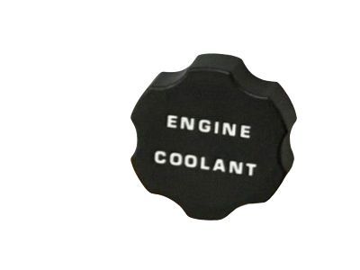 GM 14103522 Reservoir Cap