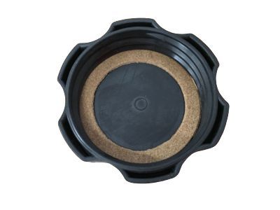 GM 14103522 Reservoir Cap