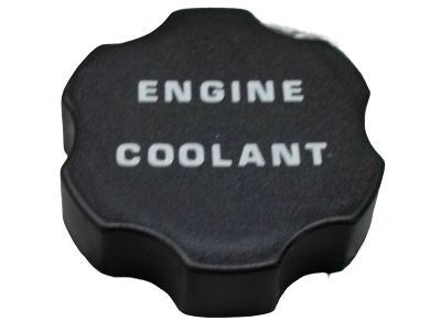 GM 14103522 Reservoir Cap