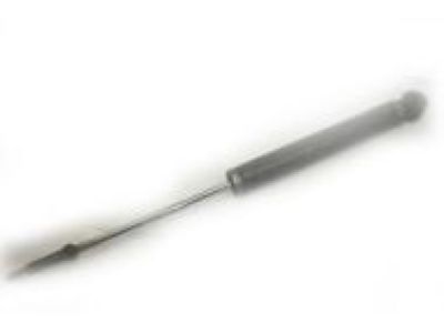 GM 19300029 Shock Absorber, Front